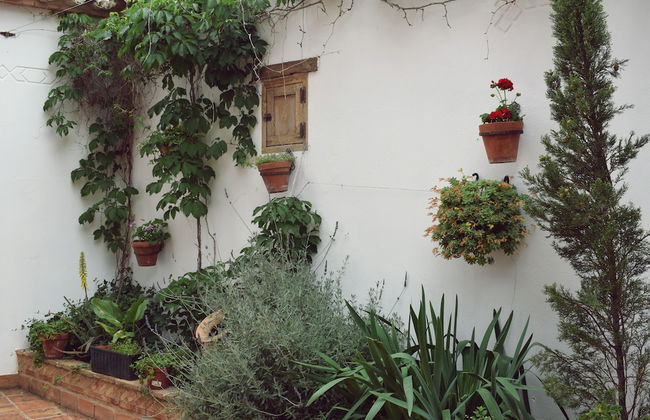 Apartamentos Turísticos La Vida De Antes - Foto 16