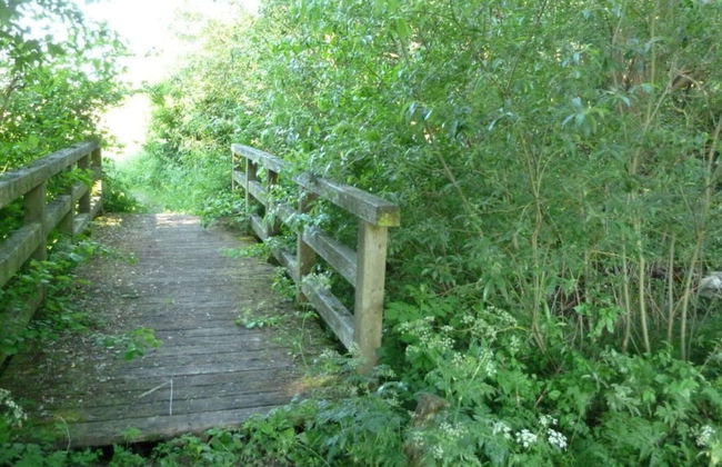 The Fischerhaus on Lake Malkwitzer See - Foto 28