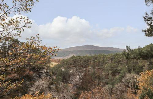 Wendy's Place - Foto 18