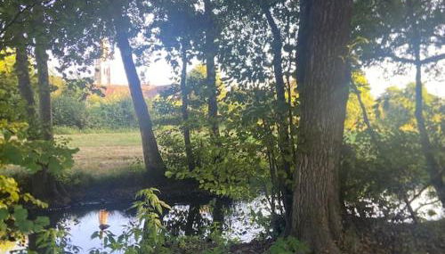 Gîte de la gâtine à Journet - Foto 4