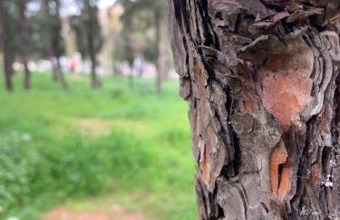 Lillian’s House - Foto 65