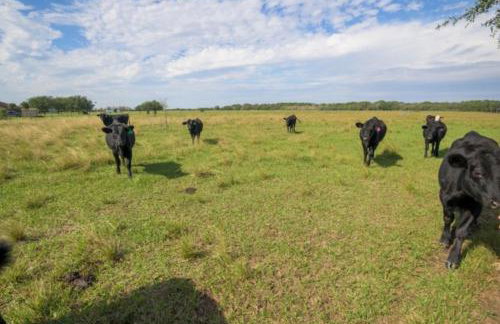 Blessing Farmhouse w/ Farm Views & Outdoor Living - Foto 28