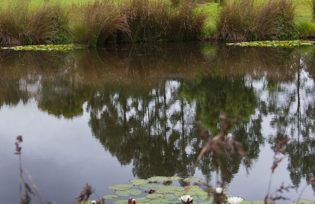 Tyenna River Cottage - Foto 19