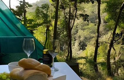 KORU Studio - Conforto na Serra - Foto 11