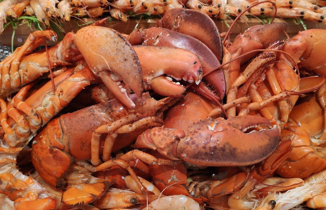 Aparthotel Fontanellas Playa - Foto 62