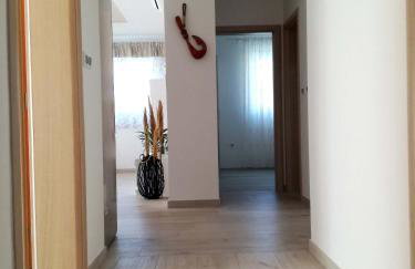 Apartments Dalmatino - Foto 37