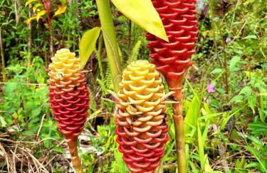 Unique Lava House by steaming crater - Photo 54