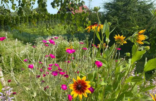 Lazurowy Brzeg - Foto 12