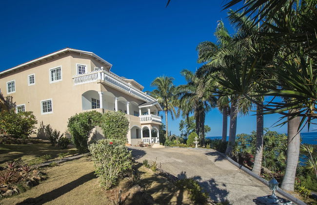 Tall Palms - Photo 19