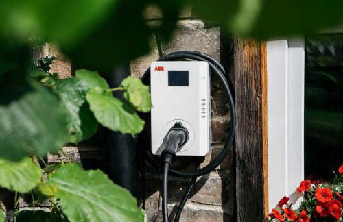 Ferienwohnungen Im Ried - Foto 6