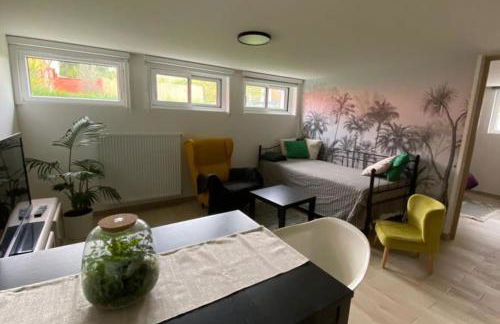 Close to PARIS, at HOUILLES, house within an exotic garden - Foto 11