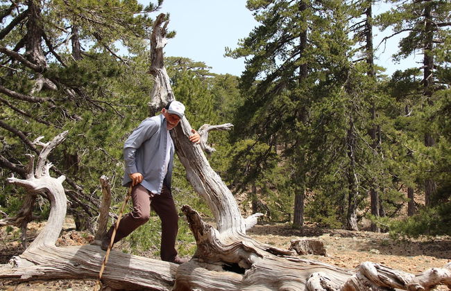 Tzionis Petroktisto Holiday Stonehouse - Photo 30