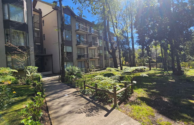 Oceana Suites Nuevo Parque Suizo - Foto 15