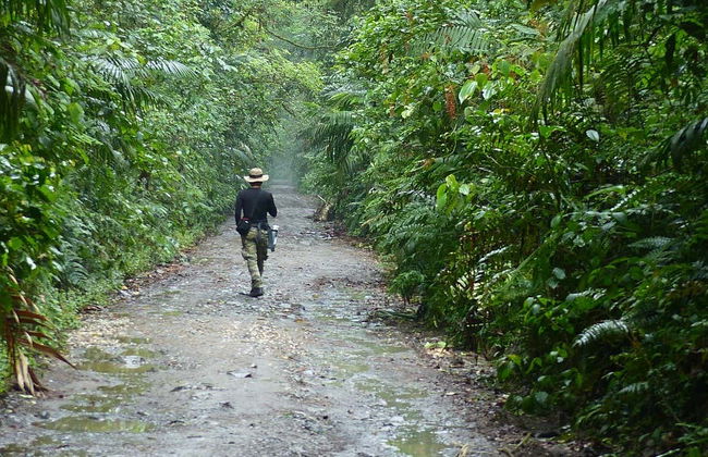 Otún Quimbaya Sanctuary Hike - Photo 1