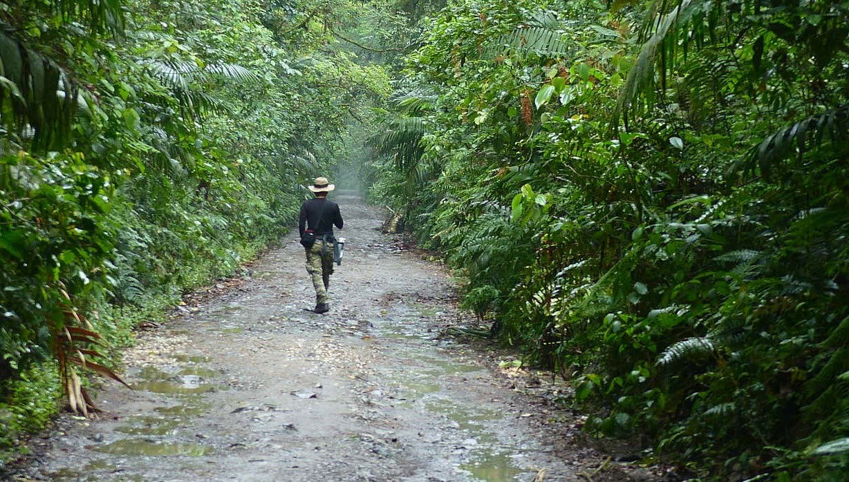 Senderismo por el Santuario Otún Quimbaya