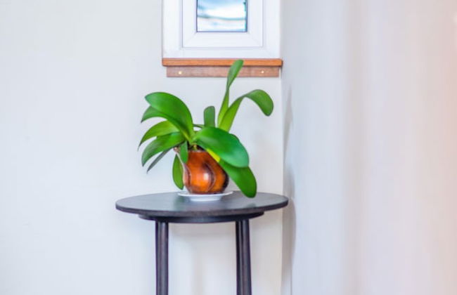 H&B apartments Qolga - Foto 39