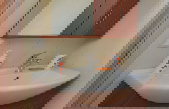 Helianthus - Foto 19