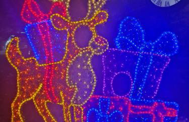 Nowodworski - Foto 63