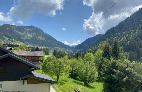 Chalet confortable 5 chambres à Châtel avec WIFI - FR-1-693-1 - Foto 9