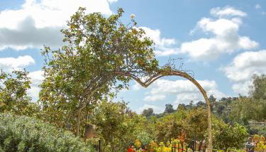 Beverlys Hilltop Retreat - Foto 2