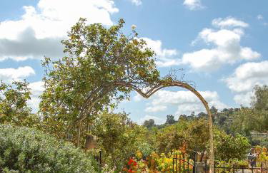 Beverlys Hilltop Retreat - Foto 2