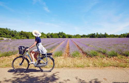 Les trois gites - Foto 22