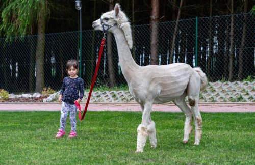 Zagroda Nad Kotelnią - Foto 80