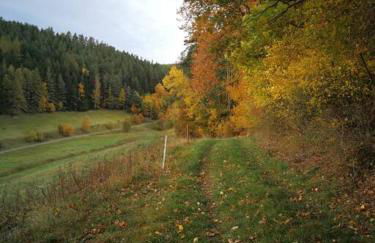 Kleines Studio mit Gartenzugang - Foto 10