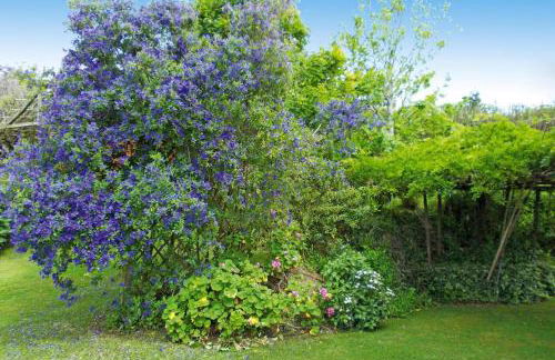 Bungalow São Miguel near Vila Franca Beach - Photo 21