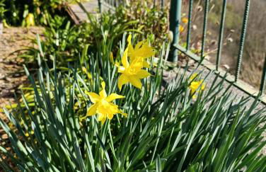 La Casa del Sole - Foto 29