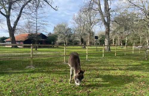L Uni Vert d Azur gite 10 pers piscine et mini ferme proche océan - Foto 28
