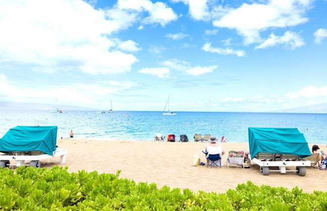 The Whaler by KBM - Foto 61