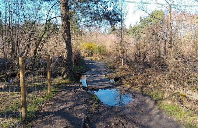 Ferienhaus in Wiek - Foto 15