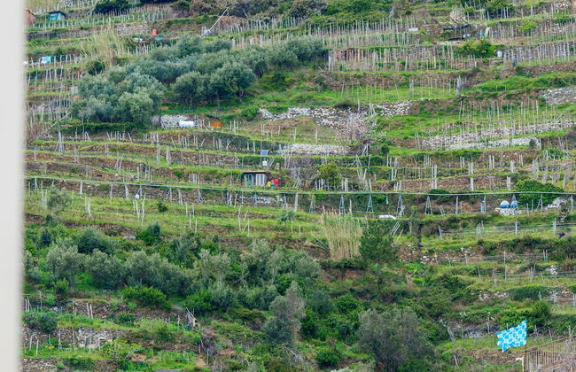 Carmelina Room - Foto 25