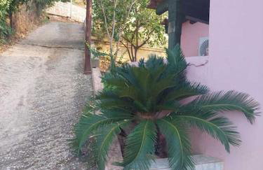 Βίλα Πασιθέα - Photo 5