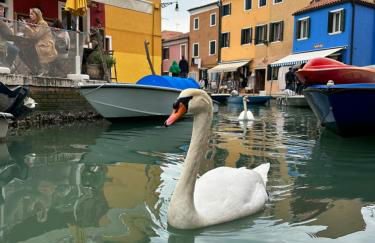 Casa tipica - Photo 16