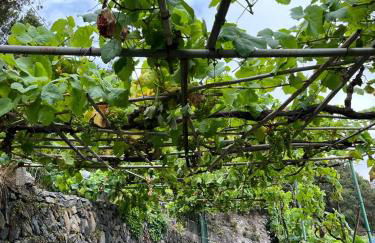 Casa Rural Quilla - Foto 33