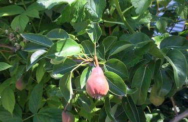 Downtown Beach & Ski Pad - Foto 23