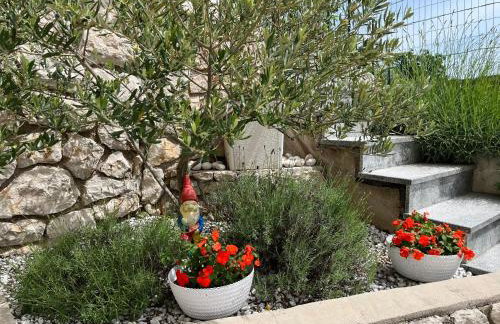 Apartman EN - Foto 53