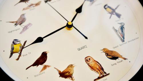 Charming 2 Bedroom Flat in the Heart of Kirriemuir - Foto 5