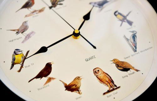 Charming 2 Bedroom Flat in the Heart of Kirriemuir - Foto 6