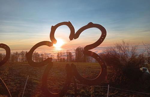 Berg-Panorama-Ferienwohnungen Gut-Lichtenau - Foto 44