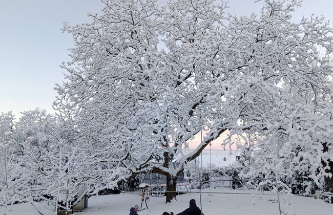 Ferienhaus Zum Unneschmitz - Foto 23