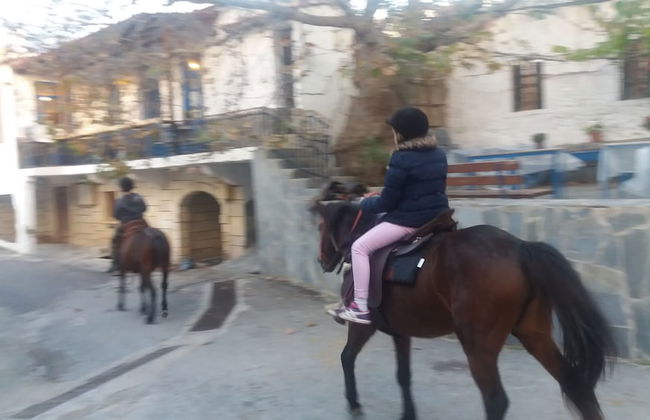 Petrinos Milos - Foto 25