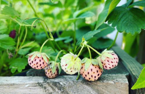 CA' DEL SOLE ITALIA - Attico Panoramico in Centro Storico - Photo 53