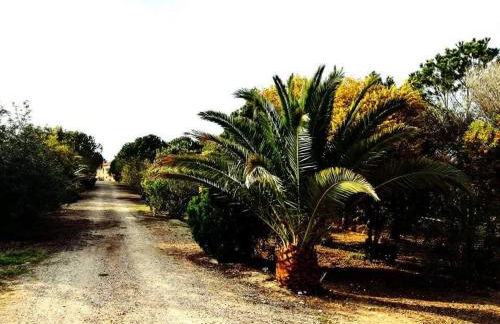 Il Lentischio del Sinis - Foto 10