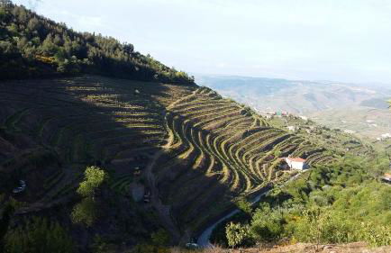 Casa da Quinta do Porto - Foto 5