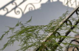 The Junction Appartment - Foto 18