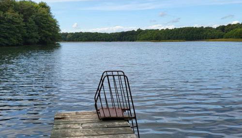 Apartment Terrassenwohnung am See by Interhome - Foto 4