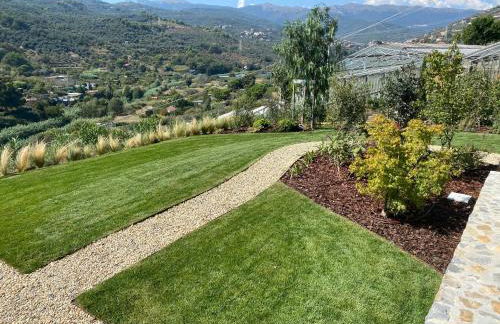 Laserrafelice - Photo 6